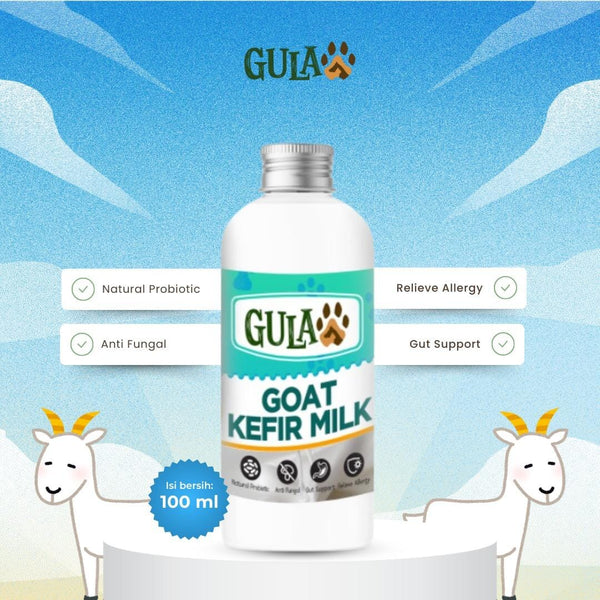 GULAPAWS Susu Kambing Kefir Goat Milk 100ML Frozen Food Tidak ada merek 