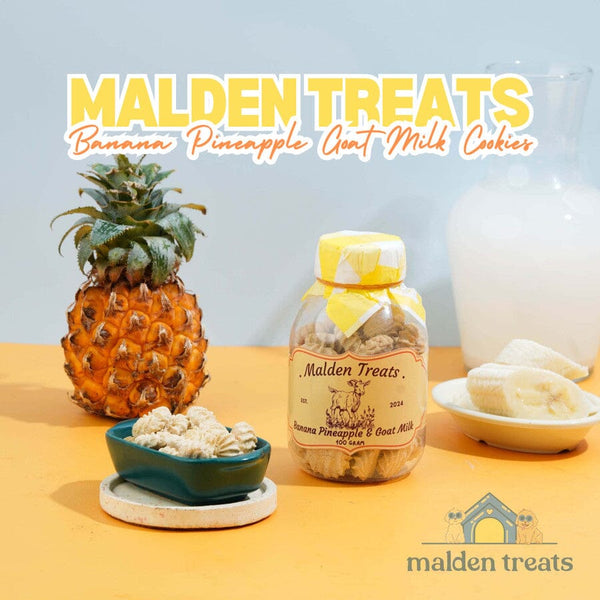 MALDENTREATS Snack Anjing Banana Pineapple Goat Milk Cookies no type Maldentreats 