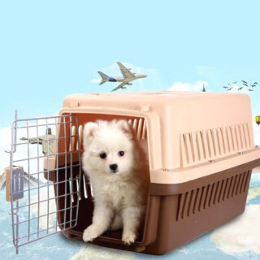 OCTAGON Kandang Travel Kennel Box KN1040 Intermidite 81x58x61cm Travel Cage OCTAGON 