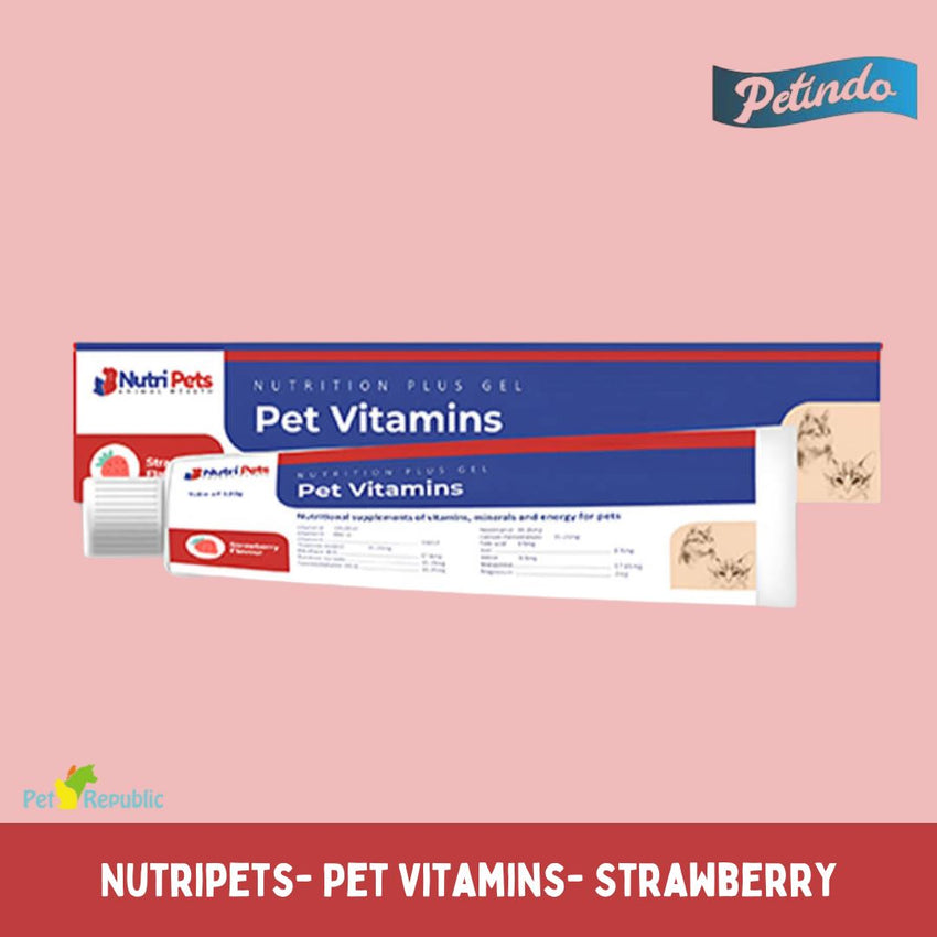 PETINDO Vitamin Anjing Kucing Nutripets Pet Vitamin Strawberry Pet Vitamin and Supplement Petindo 