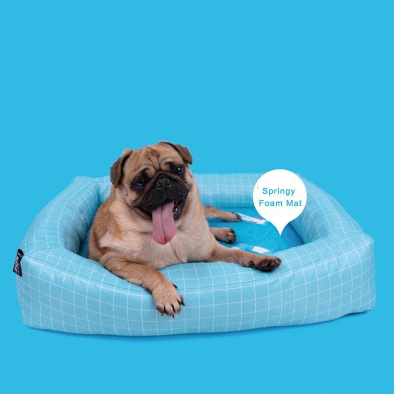 PURLAB Pet Bed Swimming Pool Medium Pet Bed Pur Lab 