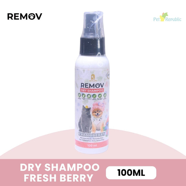 REMOV Dry Shampoo Fresh Berry 100ml no type Tidak ada merek 