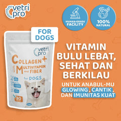 VETRIPRO Vitamin Anjing Collagen Plus For Dog 30pcs Pet Vitamin and Supplement Vetripro 