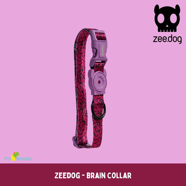 ZEEDOG Brain Collar Pet Collar and Leash Zee Dog 