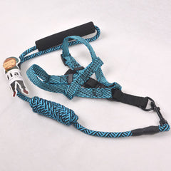 BEJIARY CP17 Stream Neon Rope Harness Pet Collar and Leash Bejiary 