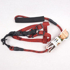 BEJIARY CP17 Stream Neon Rope Harness Pet Collar and Leash Bejiary 