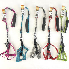 BEJIARY CP17 Stream Neon Rope Harness Pet Collar and Leash Bejiary 