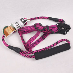 BEJIARY CP17 Stream Neon Rope Harness Pet Collar and Leash Bejiary 