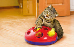 KONG Cat CA48 Glide and Seek 24cm Cat Toy Kong 