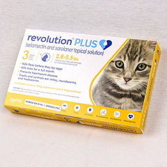 REVOLUTION Cat Gold Plus 0,25ml 1pcs Grooming Medicated Care Revolution 