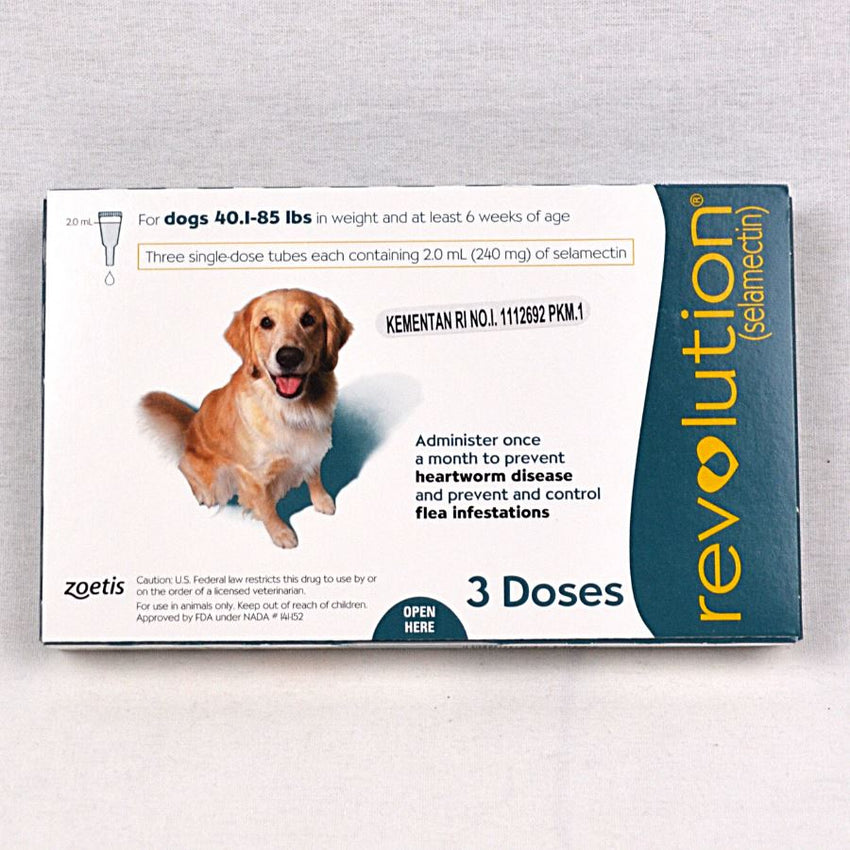 REVOLUTION Dog Flea and Tick Drop TEAL 2.0ml 1pcs Grooming Medicated Care Revolution 