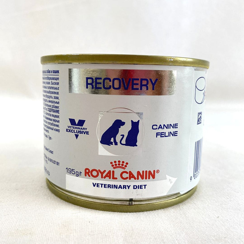 ROYALCANIN Recovery Wet Food 185g Cat Food Wet Royal Canin 